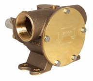 1½" bronze pump, High pressure model <b>200-size</b>, foot-mounted with BSP threaded ports