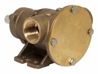 1" bronze pump, <b>80-size</b>, foot-mounted with BSP threaded ports